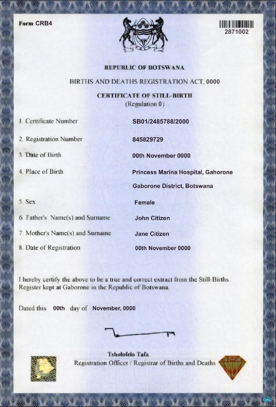 Download Botswana birth certificate template in PSD format Photoshop template